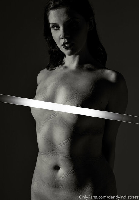 Dandyindistress