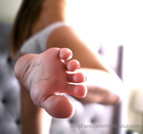 Mollyscutetoes