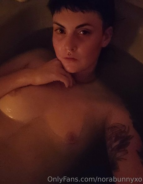 Norabunnyxo