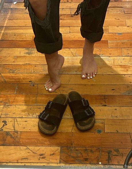 Theperfectmistressfree