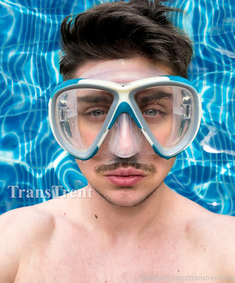 Transtrentfree