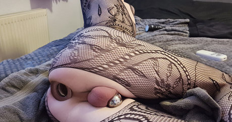 Sissystephaniex