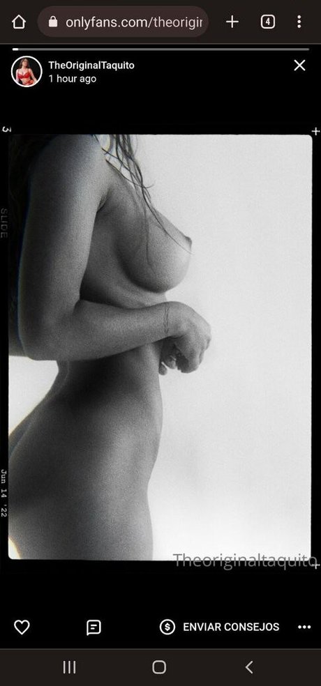 The Original Taquito