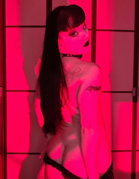 Mybeautifulnightmare