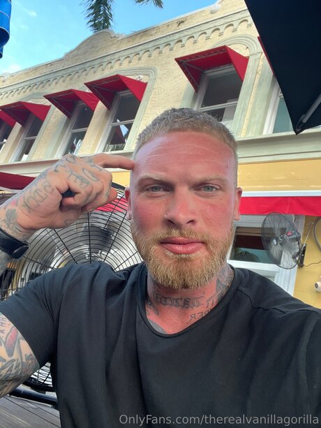 Therealvanillagorilla