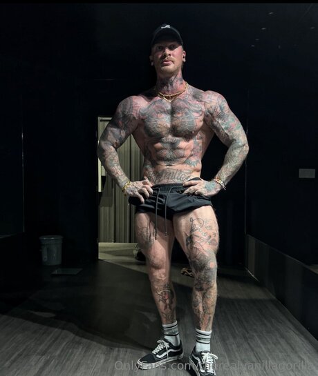 Therealvanillagorilla