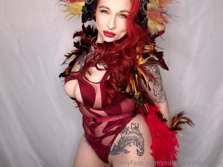 Yourscarletharlotxxx