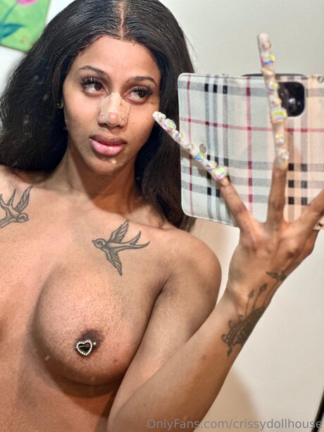 Crissydollhouse