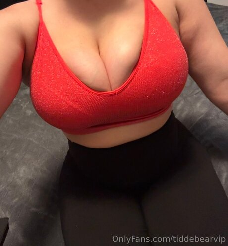 Tiddebearvip