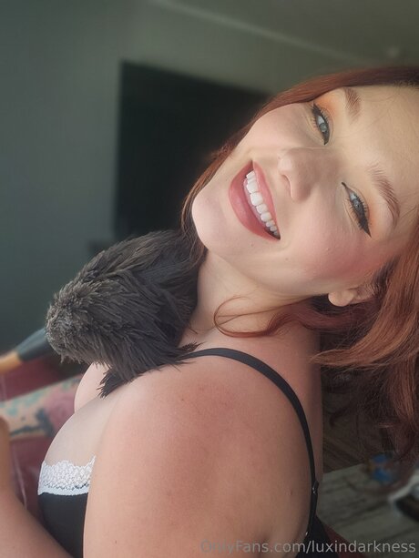 Luxindarkness