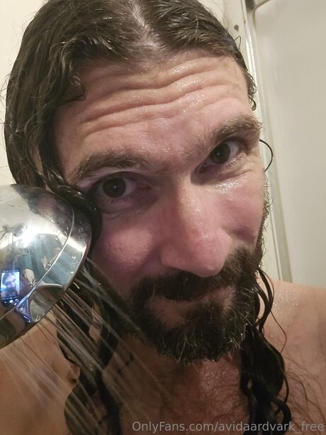Avidaardvark Free