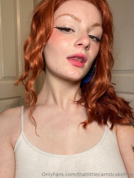 Thatlittlecarrotcakefree