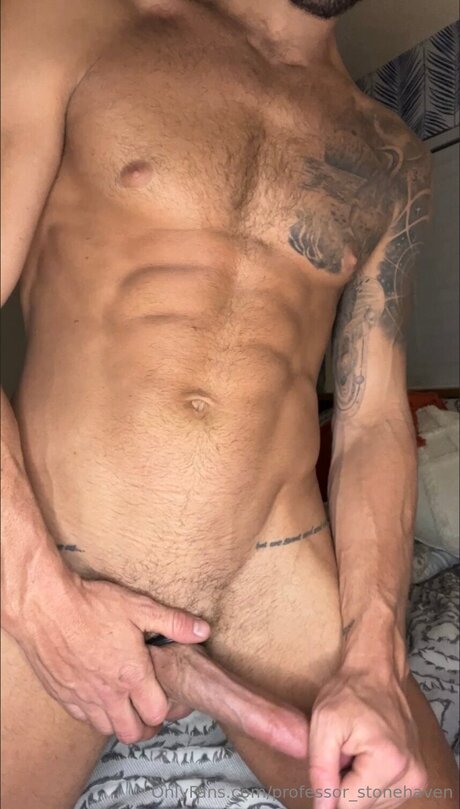 Professor Stonehaven