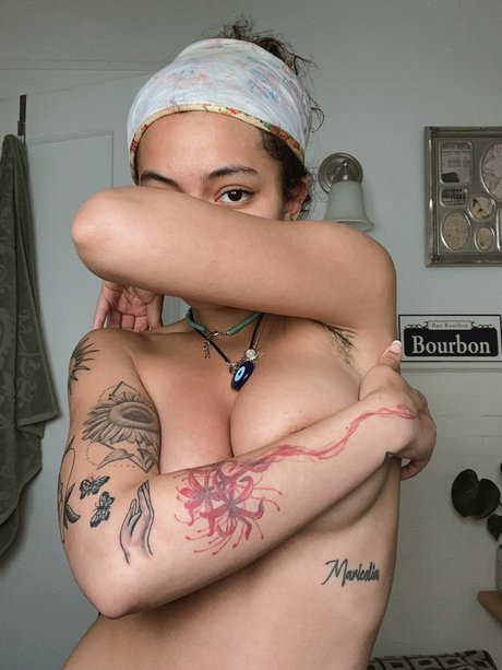 Spicymarii Lilfairymari