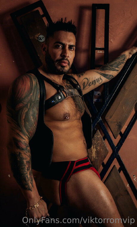 Viktorromvip
