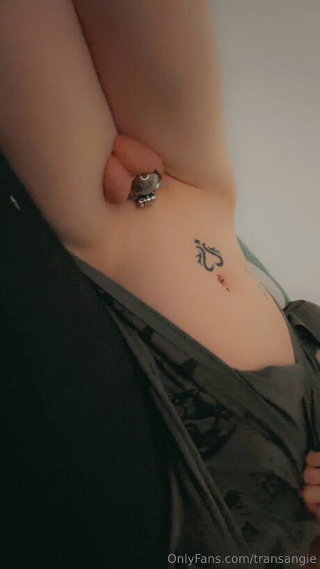 Transangie