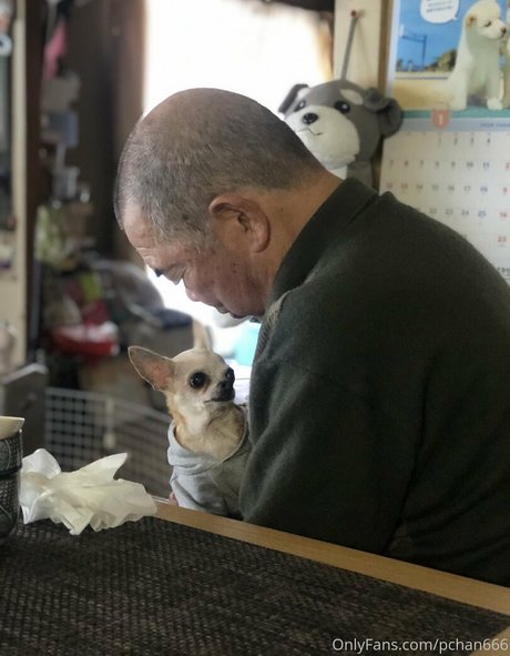 Pchan666