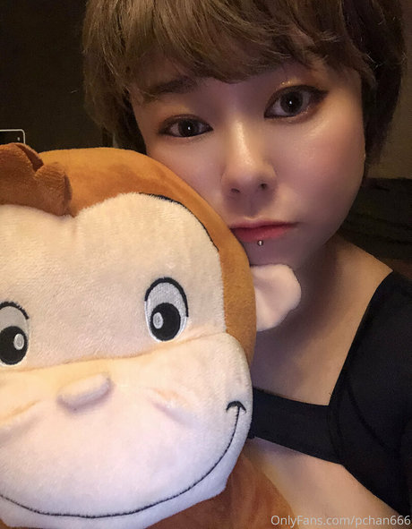 Pchan666