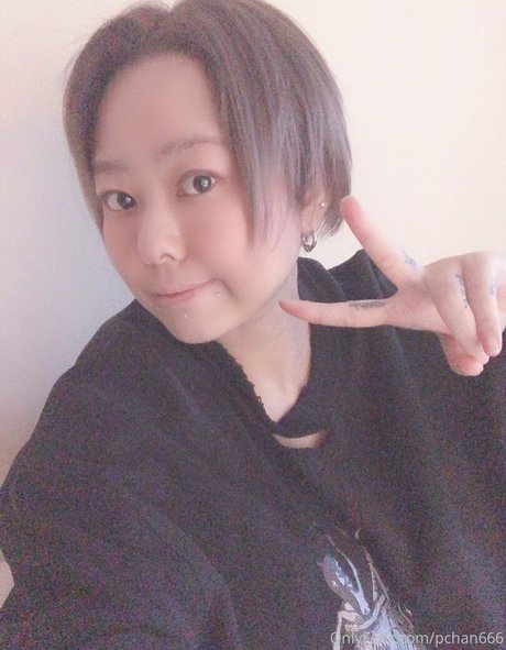 Pchan666