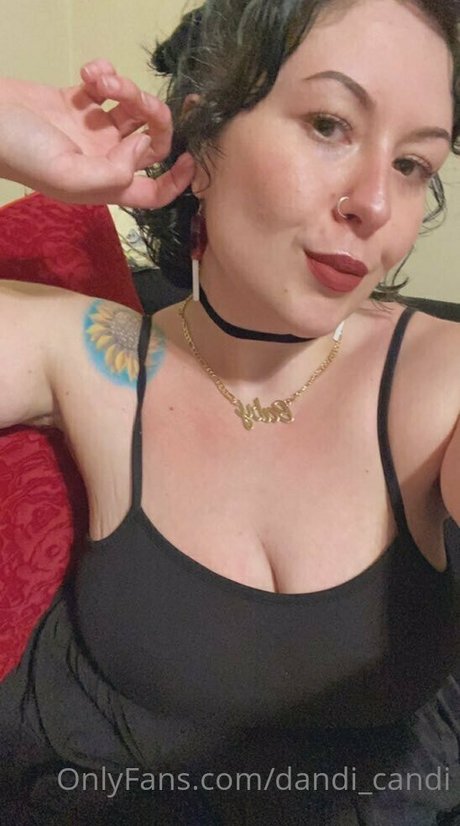 Dandicandi