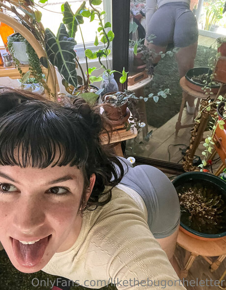 Likethebugortheletter