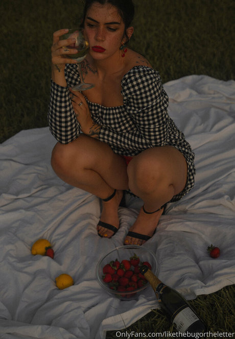 Likethebugortheletter