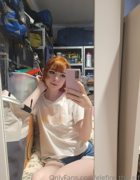 Elefiretheelf