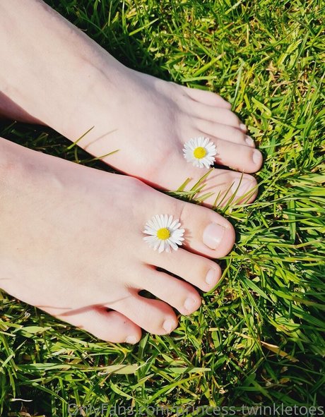 Princesstwinkletoes