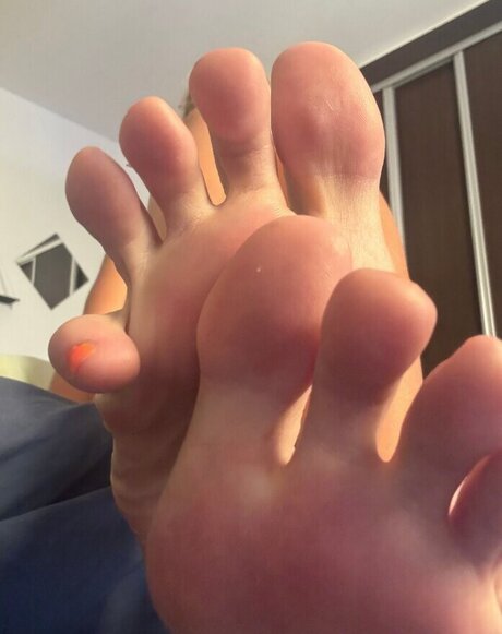 Lickandysoles