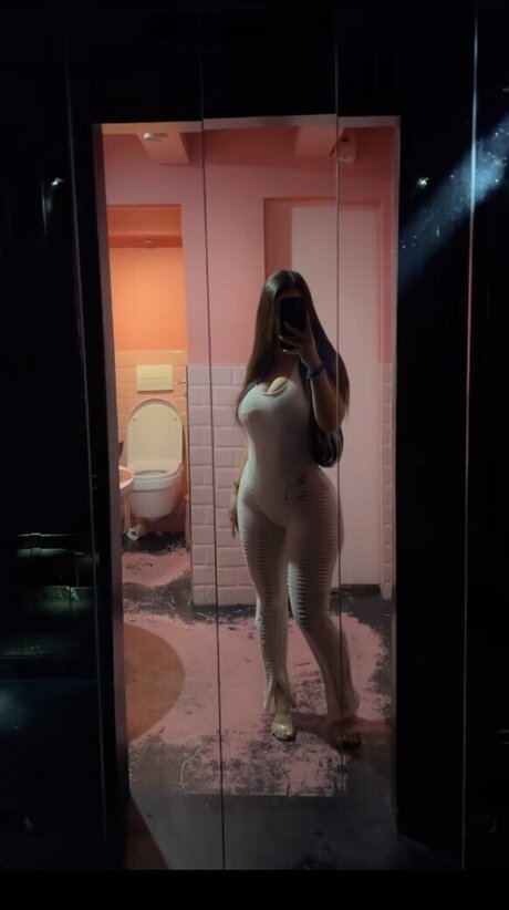 Selinkitmir