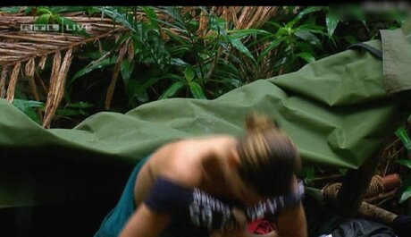 Ich Bin Ein Star  Holt Mich Hier Raus