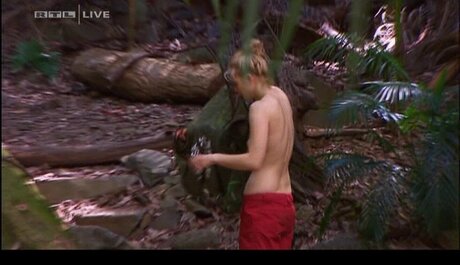 Ich Bin Ein Star  Holt Mich Hier Raus