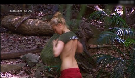 Ich Bin Ein Star  Holt Mich Hier Raus