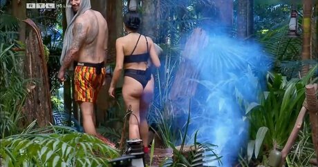 Ich Bin Ein Star  Holt Mich Hier Raus