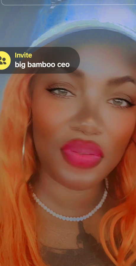 Toya Constant Creator 