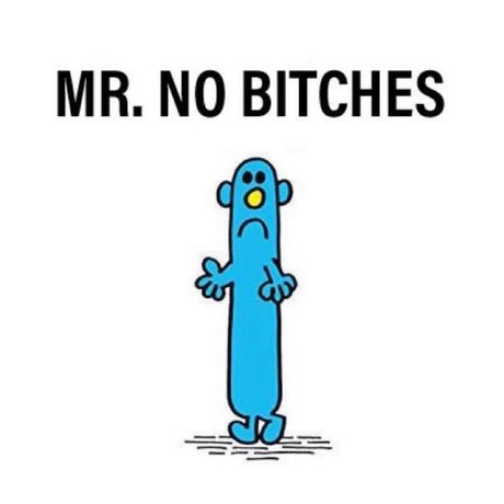 Mr No Bitches