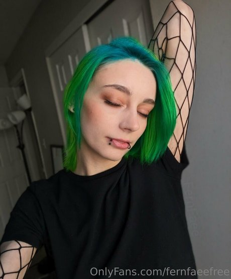 Fernfaeefree