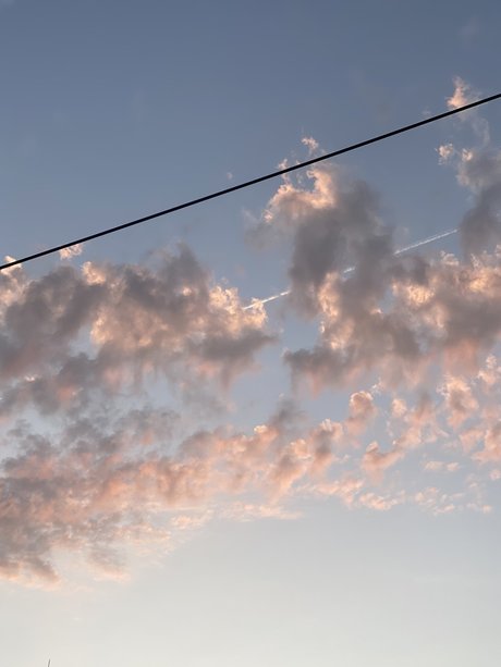 Pinta Exceptionnelle