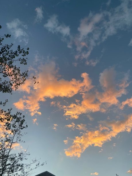 Prince Ambrose Quartz  nude leaked OnlyFans photo