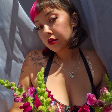 A R E L I A  Closed  Find Me On Lf