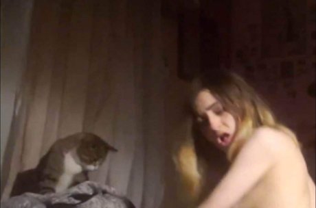 Kitty Baby Honey Lemon