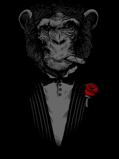 Francisco  nude leaked OnlyFans photo