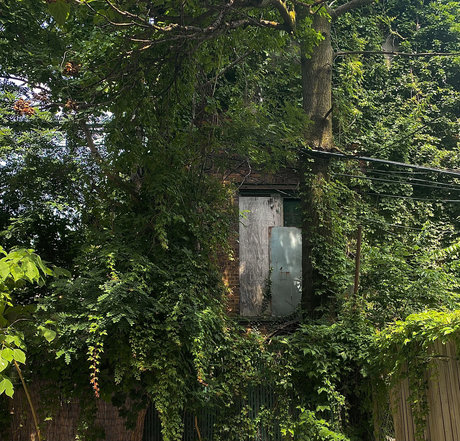  Nikki Yarrows 3 Videos