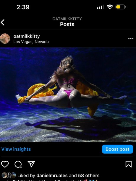 Internet Angel With An Attitude