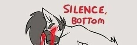 Canis Infectum Est In Gloria