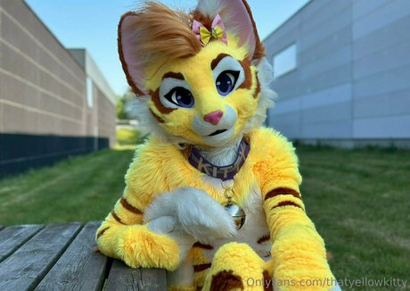 Thatyellowkitty
