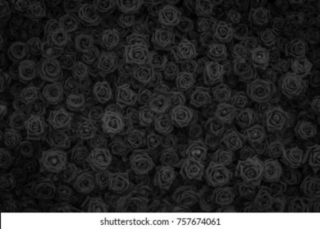 Raine  nude leaked OnlyFans photo