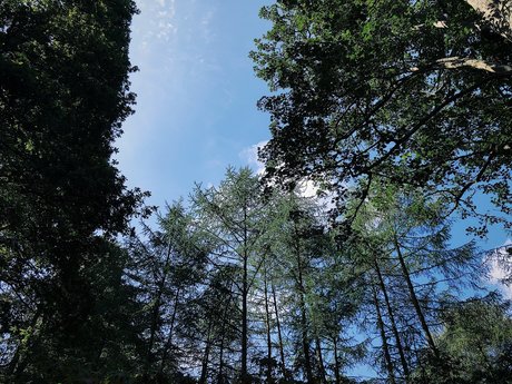 Samara   nude leaked OnlyFans photo