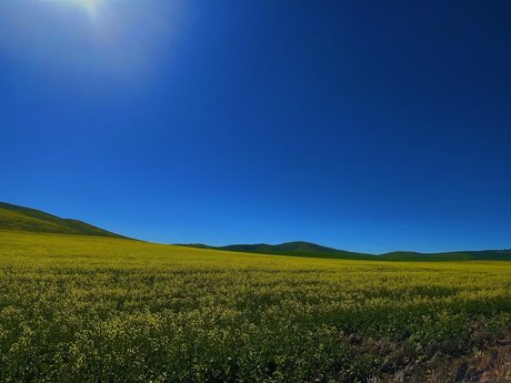 Sage Kingsley  nude leaked OnlyFans photo