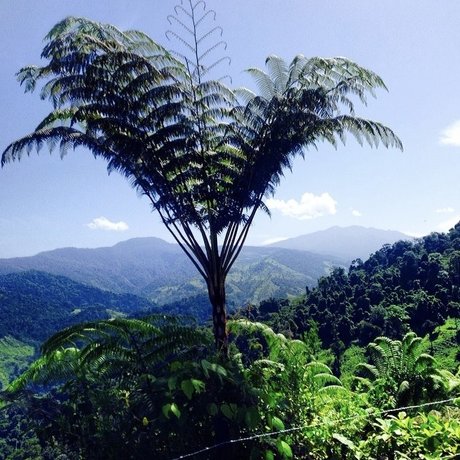 Savibaby  nude leaked OnlyFans photo